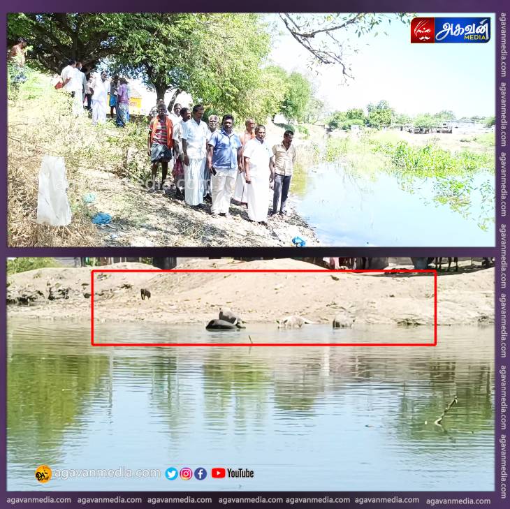 "இது கண்மாயா....? கால்வாயா..?"  