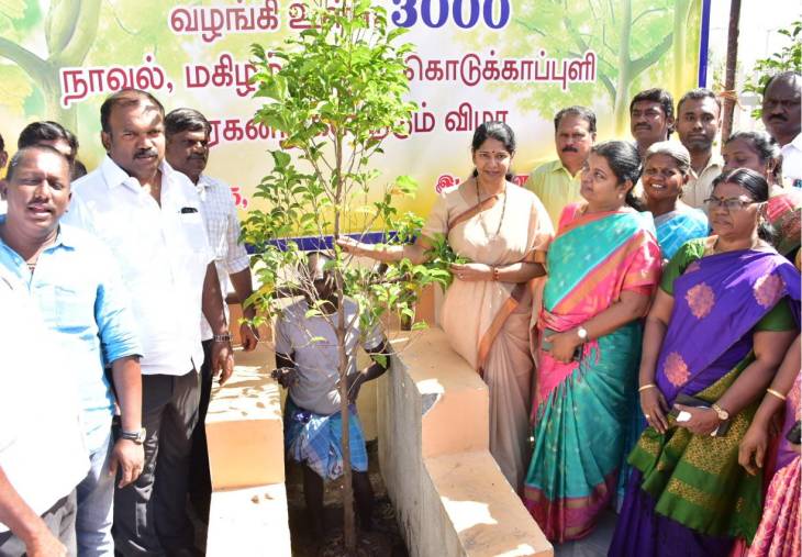 3,000 மரக்கன்றுகள் நடும் பணிகளை கனிமொழி எம்.பி தொடங்கி வைத்தார். 