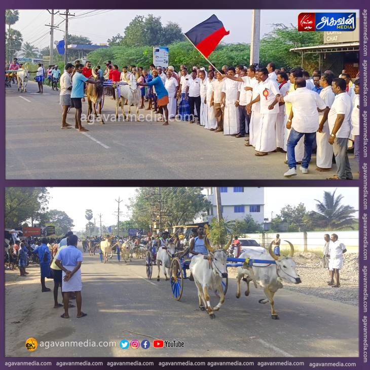 மு.க.ஸ்டாலின் 72 வது பிறந்தநாள் விழாவை முன்னிட்டு விளாத்திகுளத்தில் மாபெரும் மாட்டு வண்டி எல்கை பந்தயம்!



