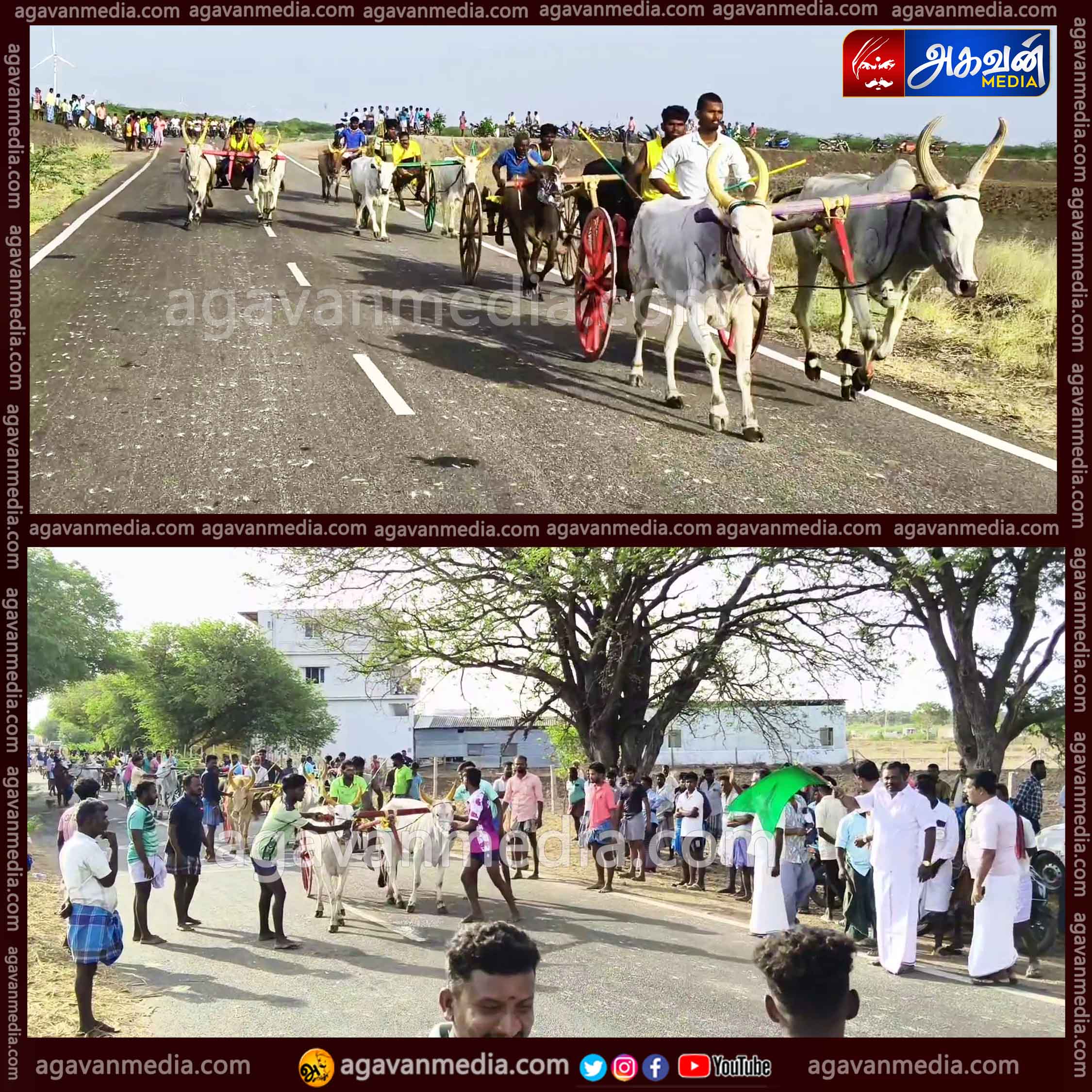 மாபெரும் மாட்டு வண்டி எல்கை பந்தயம்: சீறிப்பாய்ந்த 38 ஜோடி மாடுகள்!