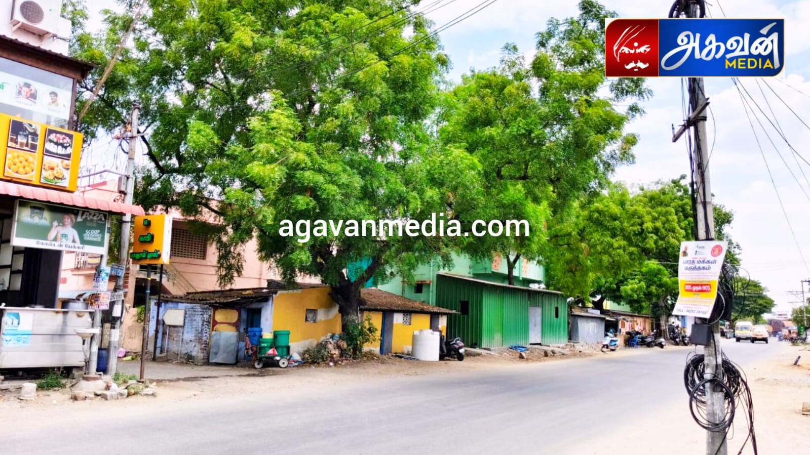 வெட்டாதே! வெட்டாதே! மரத்தினை வெட்டாதே: நெடுஞ்சாலைத்துறைக்கு கண்டனம்!